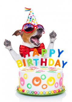 Mordrin Statistisch klem Happy Birthday Pakket Hond - Ivorys-parkietenfun
