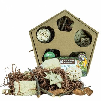 Back Zoo Nature Pentagon Foraging &amp; Play Box